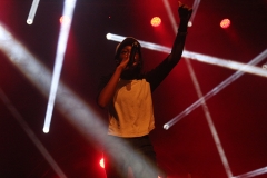 LittleSimz-11
