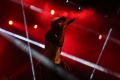 LittleSimz-3